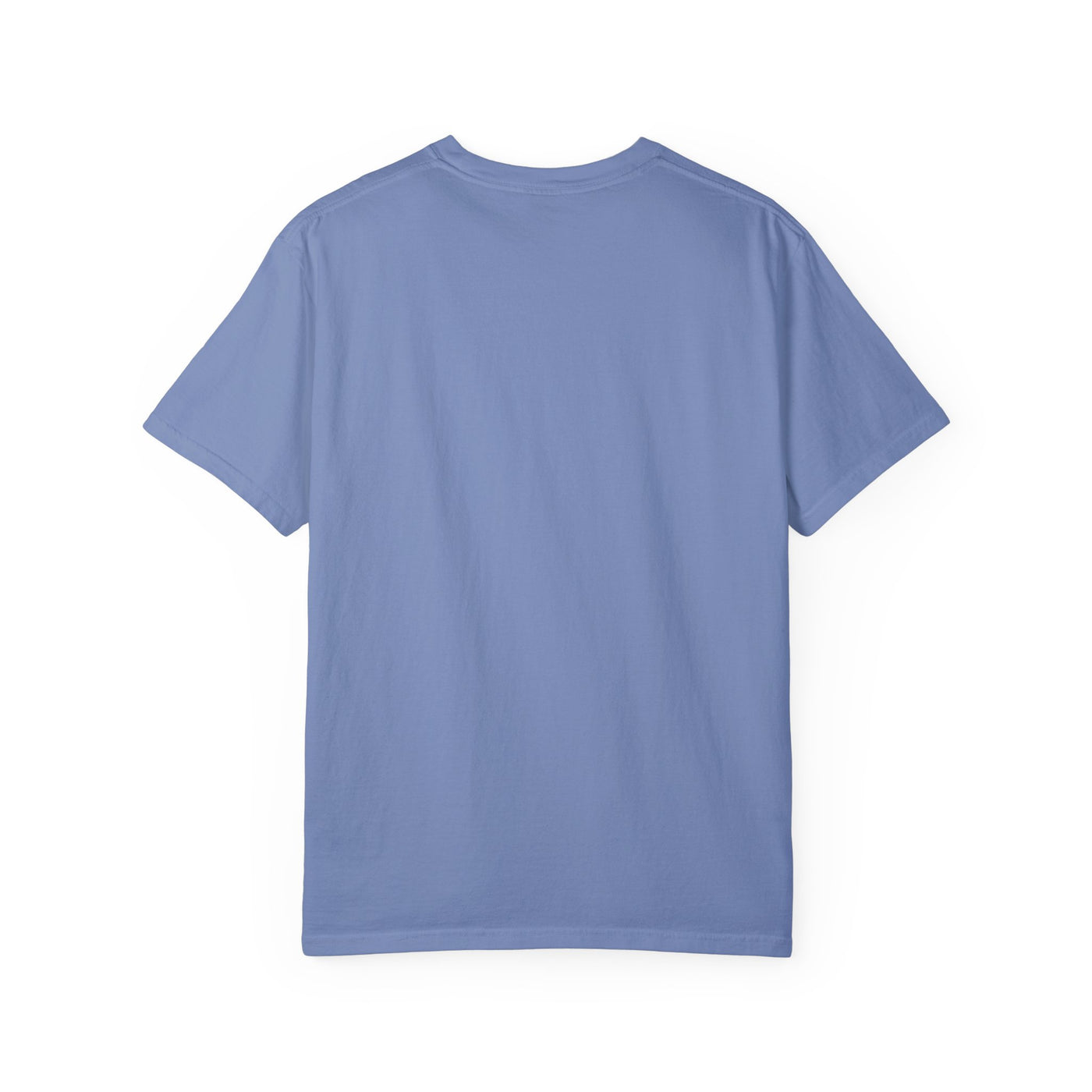 Slow Mornings Club Distressed T-Shirt (COMFORT COLORS)