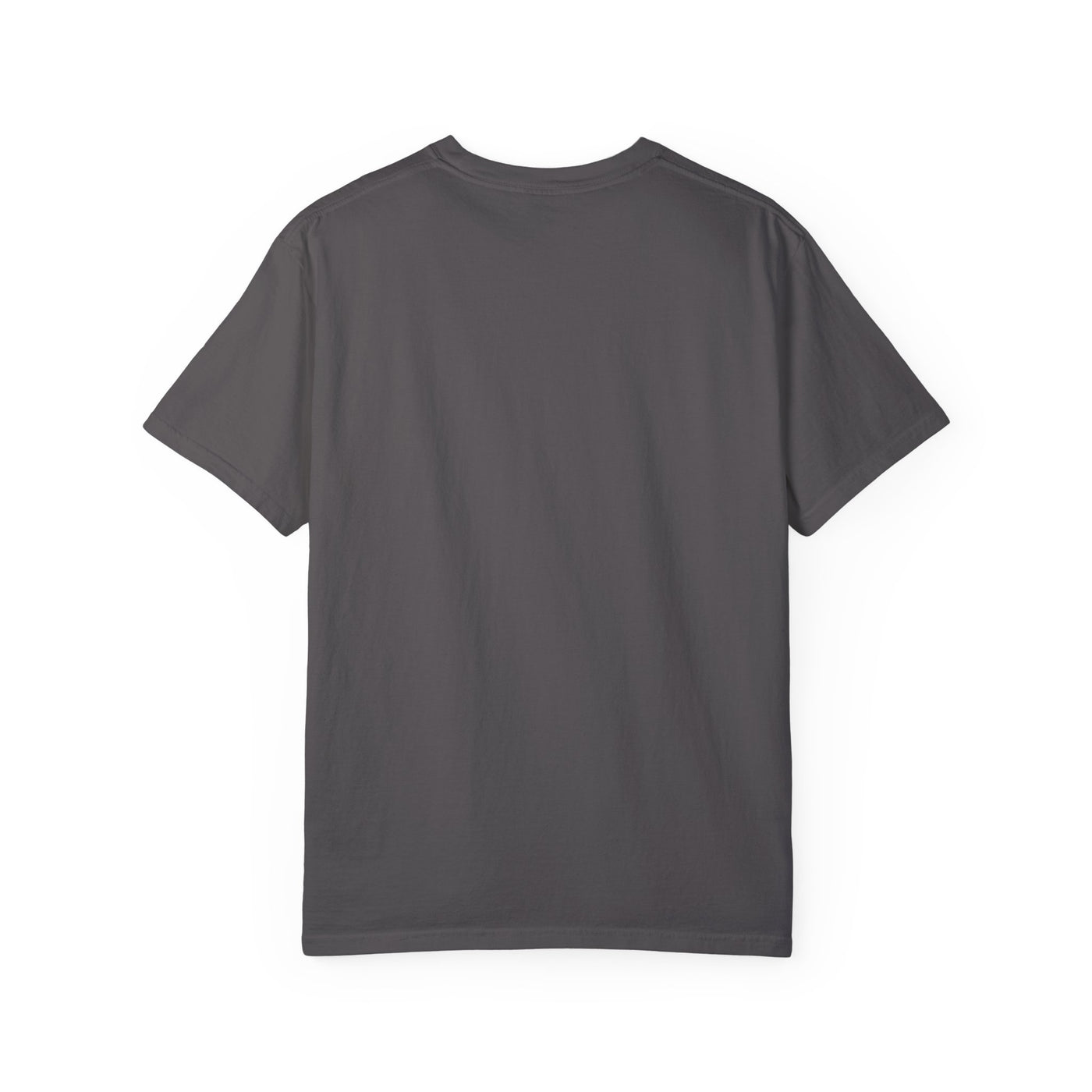 Slow Mornings Club Distressed T-Shirt (COMFORT COLORS)