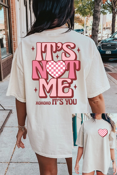 "It’s Not Me, It’s You" 2 sided print T-Shirt (Comfort Colors)