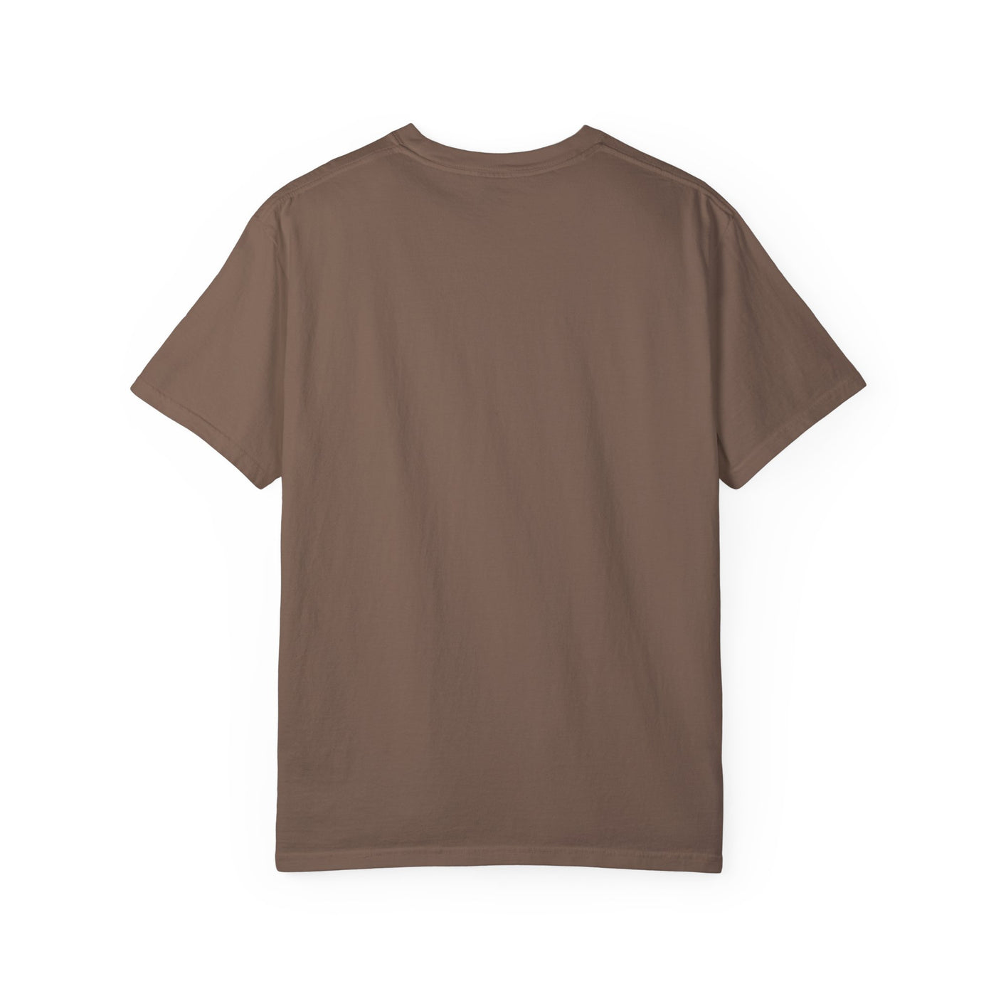 Spread the Gospel Graphic T-shirt (Comfort Colors)