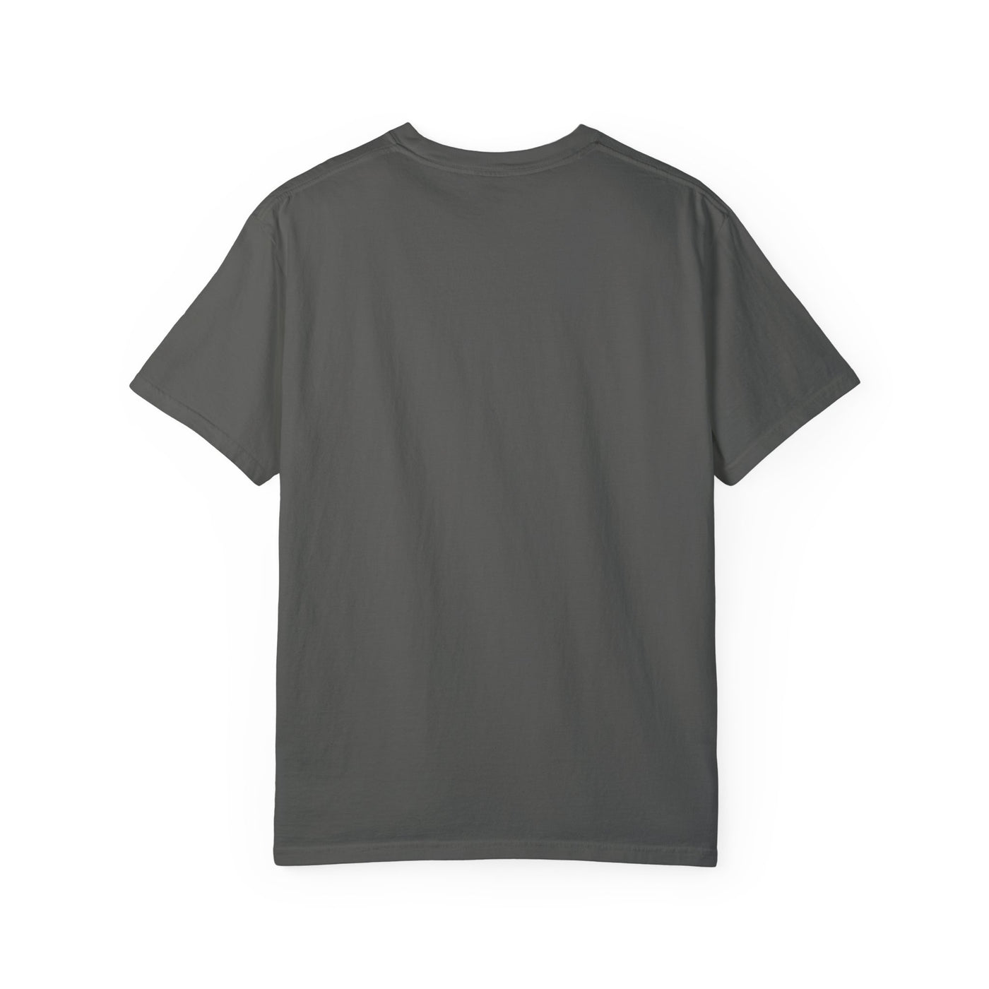 Spread the Gospel Graphic T-shirt (Comfort Colors)