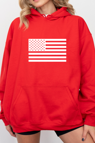 USA 2024 Hoodie 2 Sided Print (Gildan)