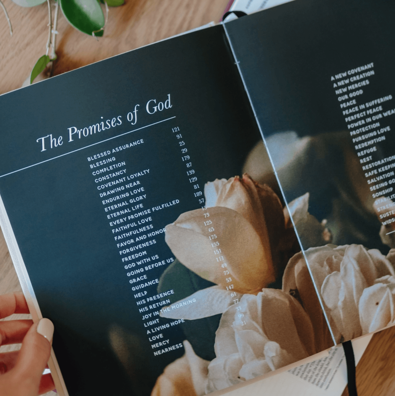 The Promises of God Coffee Table Book , BOOK , It's NOMB , coffee table book for the believer, COUPLE GIFT, FAITH BASED GIFTS, religious gift, STOCKING STUFFER, stocking stuffers, WEDDING GIFT , It's NOMB , itsnomb.com